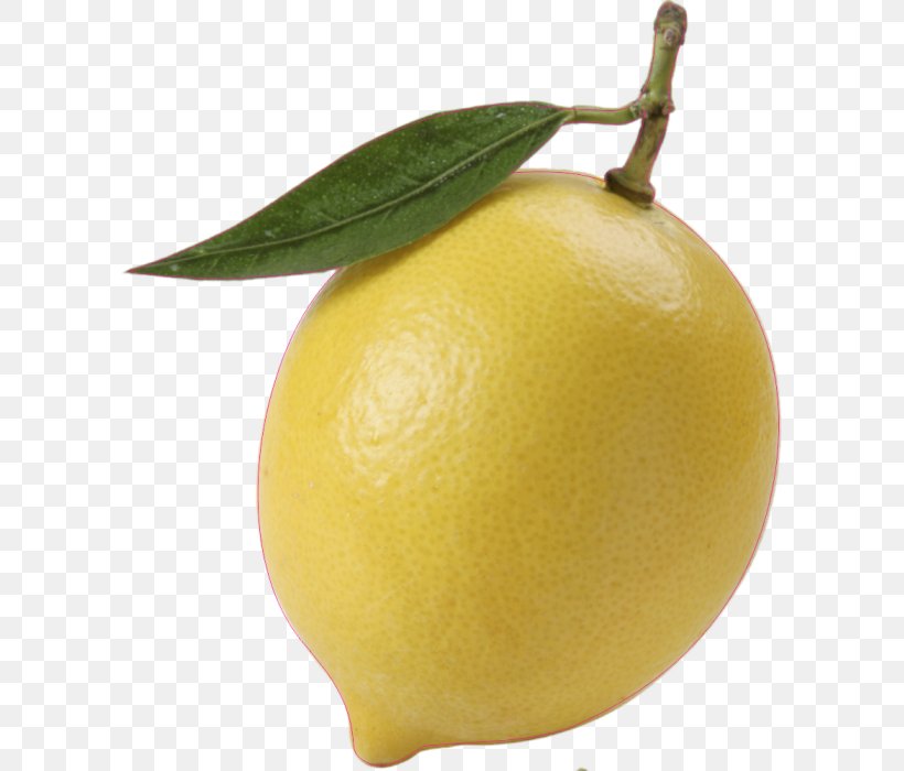 Sweet Lemon Citron Persian Lime Meyer Lemon, PNG, 599x700px, Lemon, Acid, Citric Acid, Citron, Citrus Download Free