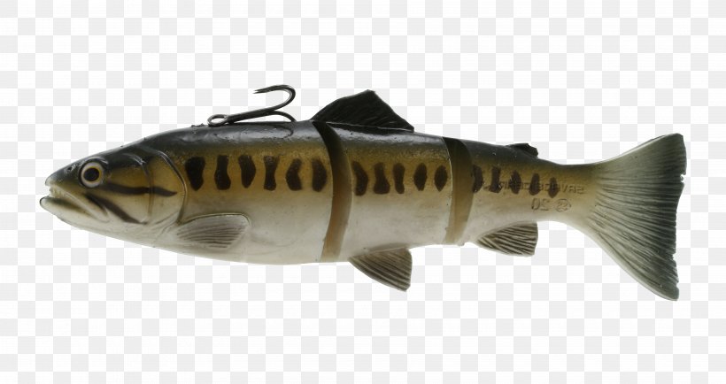 Trout Tackle Fishing Bait Fly Fishing, PNG, 3600x1908px, Trout Tackle, Angling, Bass, Bass Fishing, Bony Fish Download Free