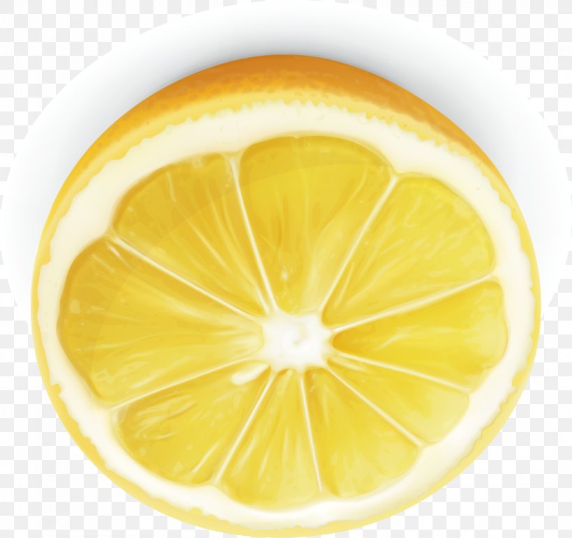 Lemon-lime Drink Decorative Arts, PNG, 1067x1005px, Lemon, Artworks, Citric Acid, Citrus, Decorative Arts Download Free