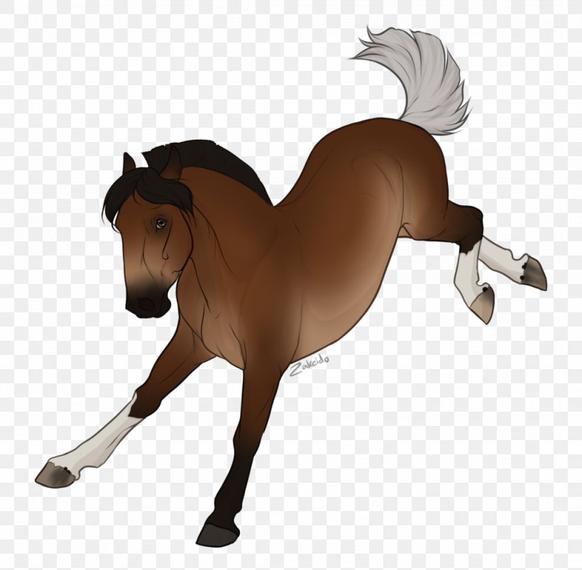 Mane Mustang Stallion Mare Rein, PNG, 1024x1003px, Mane, Animal Figure, Bridle, English Riding, Equestrian Download Free