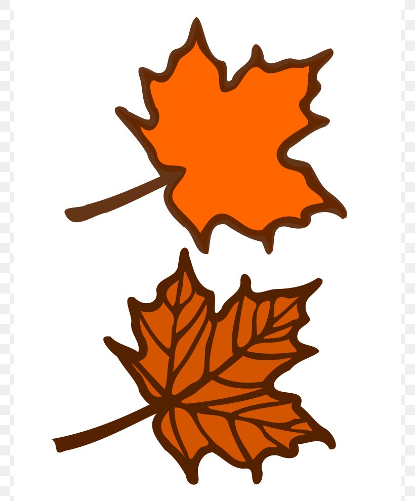 Red Maple Maple Leaf Clip Art, PNG, 765x990px, Red Maple, Artwork, Drawing, Free Content, Leaf Download Free