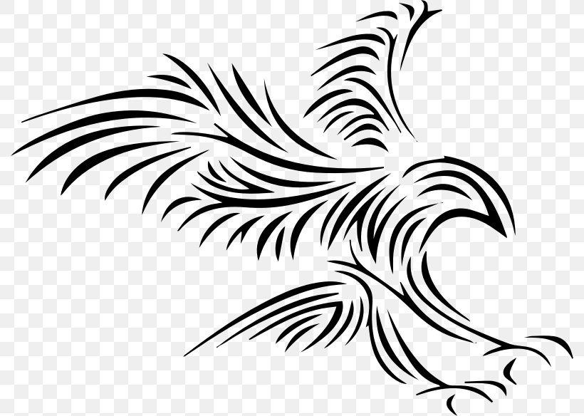 Bald Eagle Eagle Feather Law Clip Art, PNG, 790x584px, Bald Eagle, Artwork, Beak, Bird, Black And White Download Free