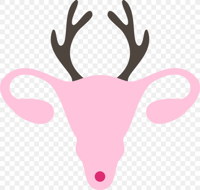 Reindeer Antler Snout Pink M Clip Art, PNG, 1053x1000px, Reindeer, Antler, Deer, Head, Horn Download Free