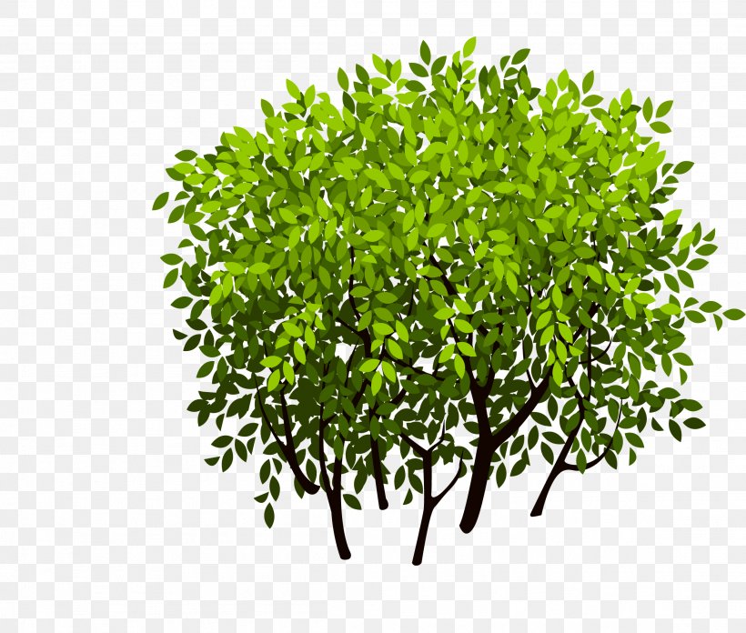 Shrub Tree Leaf, PNG, 2307x1960px, Tree, Branch, Computer Graphics, Evergreen, Flowerpot Download Free