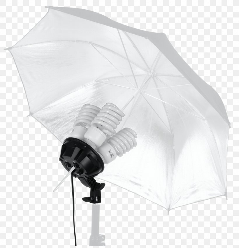 Umbrella Softbox Light Massachusetts Institute Of Technology, PNG, 1155x1200px, Umbrella, Dandruff, Fashion Accessory, Light, Octagon Download Free