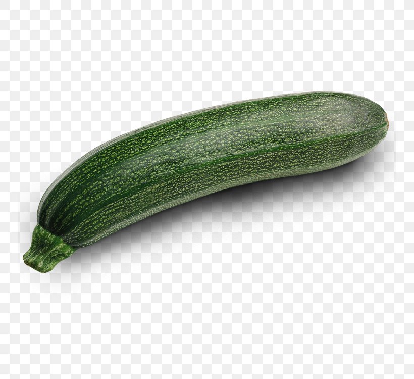 Zucchini Vegetable Wild Bean Eggplant Cucumber, PNG, 750x750px, Zucchini, Armenian Cucumber, Broccoli, Cauliflower, Cucumber Download Free