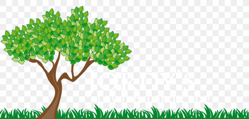 Animation Tree Branch Trunk Clip Art, PNG, 1100x530px, Animation, Art, Biome, Branch, Drawing Download Free