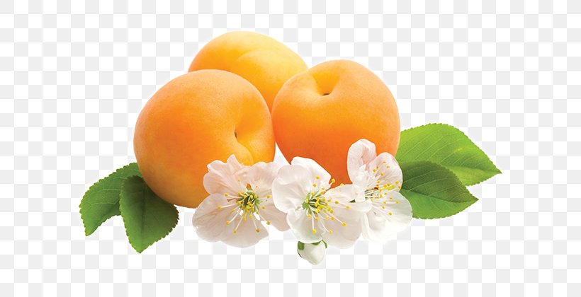 Desktop Wallpaper Fruit Flower Tangerine Apricot, PNG, 620x420px, Fruit, Apple, Apricot, Citrus, Diet Food Download Free
