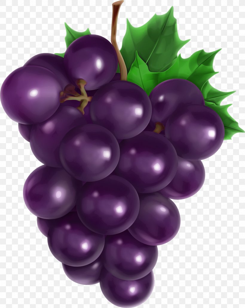 Grape Vector Graphics Clip Art Illustration Royalty-free, PNG, 3348x4218px, Grape, Balloon, Berry, Currant, Flower Download Free