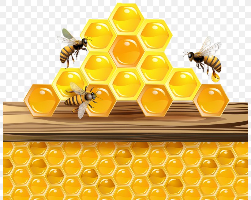 Honeycomb Honey Bee Beehive Clip Art, PNG, 800x654px, Honeycomb, Apidae, Bee, Bee Pollen, Beehive Download Free