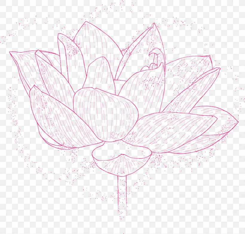 Rose Family Sketch Illustration Floral Design, PNG, 1016x968px, Rose Family, Artwork, Drawing, Flora, Floral Design Download Free