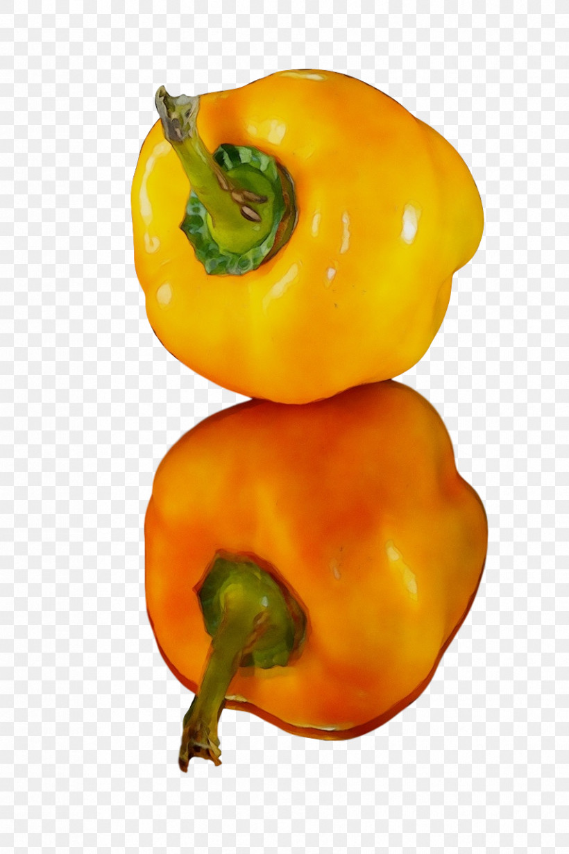 Yellow Pepper Habanero Pimiento Peppers Natural Foods, PNG, 853x1280px, Watercolor, Bell Pepper, Friggitello, Fruit, Habanero Download Free