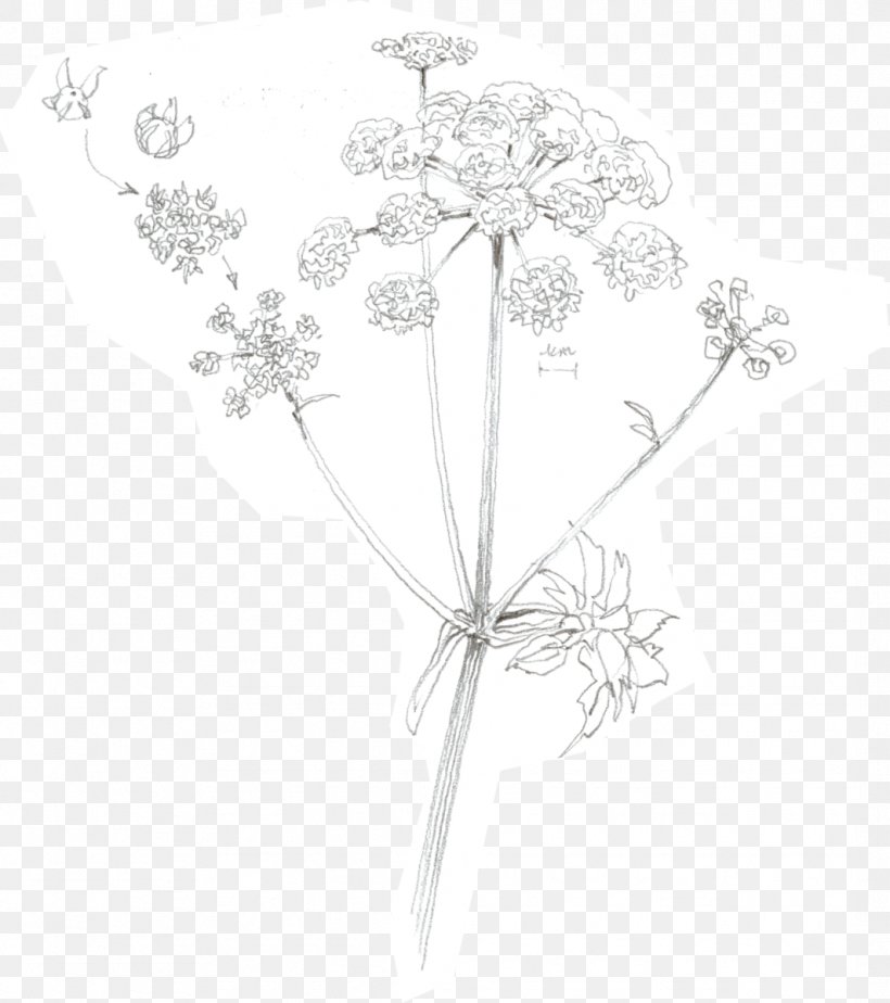 Petal Floral Design White Symmetry Pattern, PNG, 1064x1200px, Petal, Black And White, Branch, Drawing, Flora Download Free