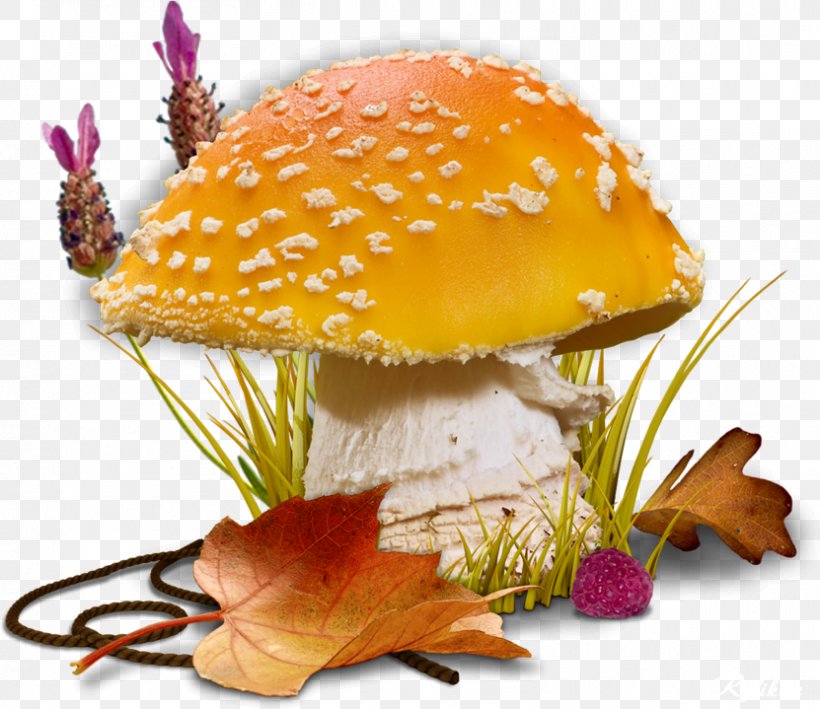 Autumn Photograph Clip Art Summer, PNG, 831x719px, 2018, Autumn, Art, Centerblog, Edible Mushroom Download Free