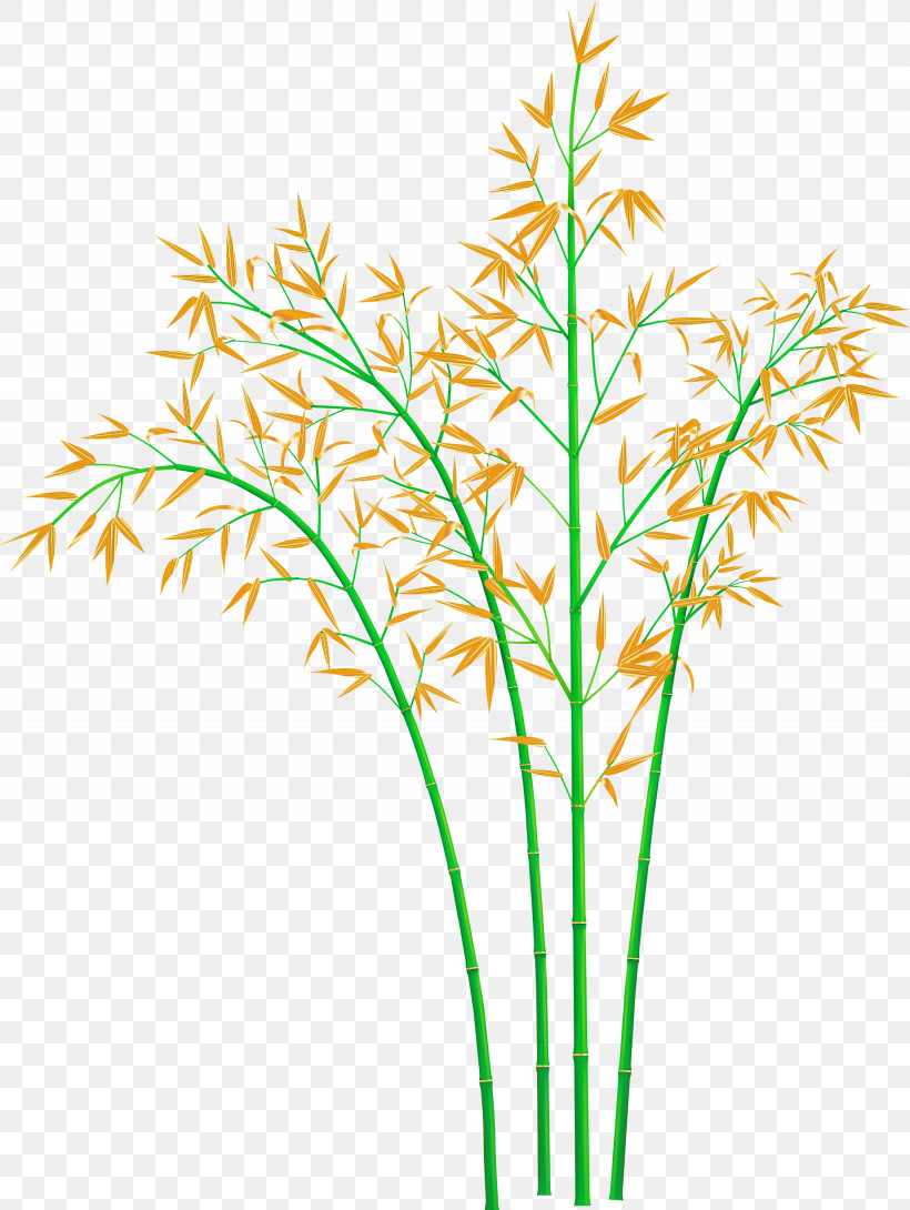 Bamboo Leaf, PNG, 2255x3000px, Bamboo, Elymus Repens, Flower, Grass, Grass Family Download Free