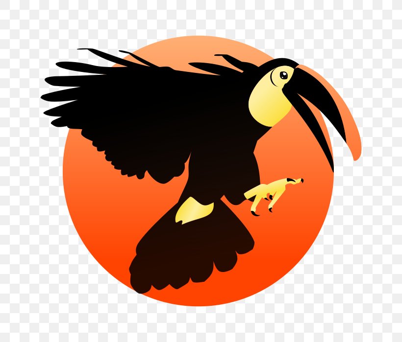 Bird Toucan Beak Animal Clip Art, PNG, 800x699px, Bird, Animal, Bald Eagle, Beagle, Beak Download Free