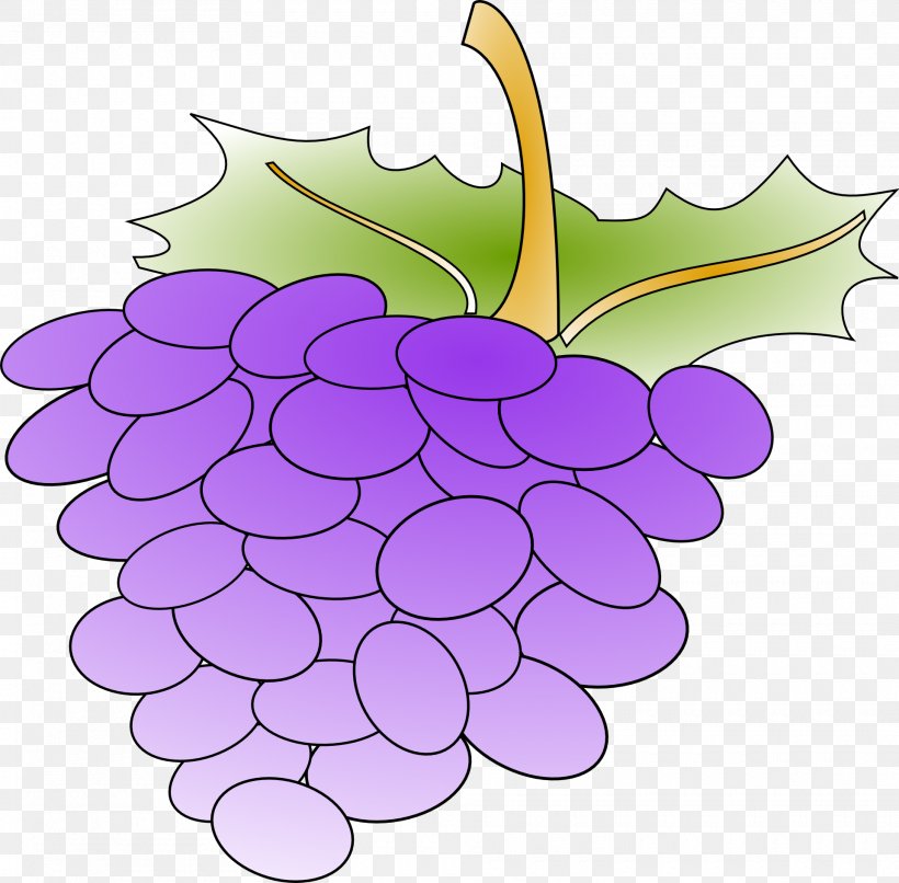 Clip Art Vector Graphics Grape Openclipart Free Content, PNG, 1920x1888px, Grape, Flower, Flowering Plant, Food, Fruit Download Free