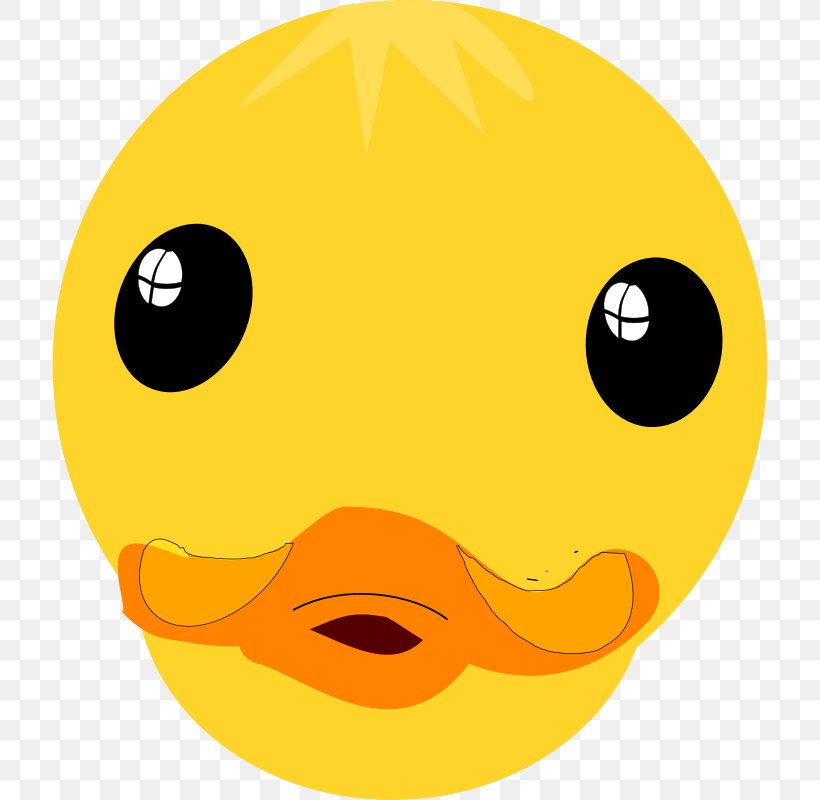 Donald Duck Duck Face Clip Art, PNG, 800x800px, Donald Duck, Art, Beak, Daisy Duck, Duck Download Free