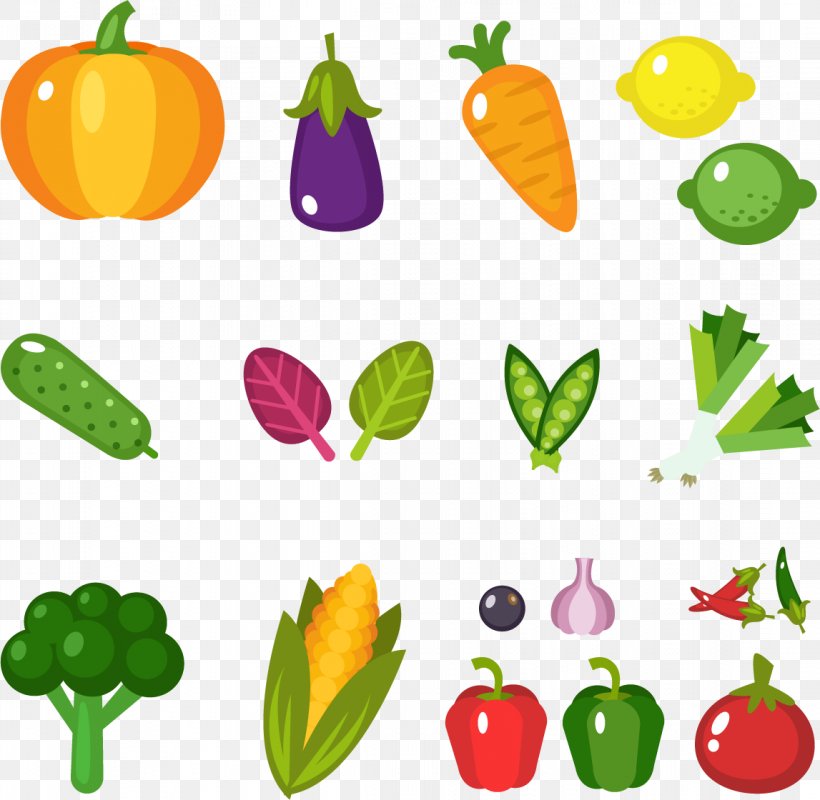 Fruit Vegetable Food Flat Design Celery, PNG, 1147x1120px, Fruit, Alimento Saludable, Artwork, Capsicum Annuum, Carrot Download Free