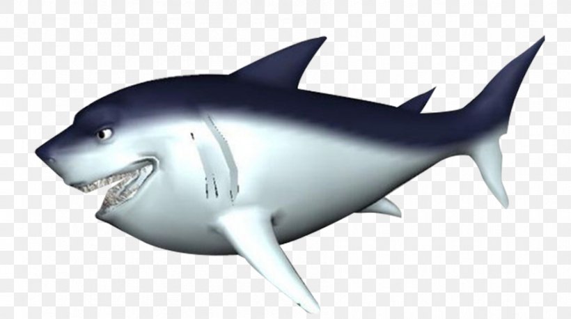 Great White Shark Fish, PNG, 895x500px, Shark, Animation, Cartilaginous Fish, Cartoon, Dessin Animxe9 Download Free