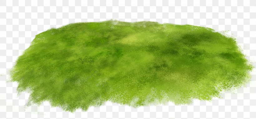 Grass Clip Art, PNG, 3216x1504px, Grass, Collage, Glade, Green, Lawn Download Free