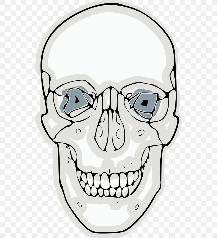 Skull Frontal Bone Clip Art, PNG, 552x900px, Skull, Artwork, Black And White, Bone, Clavicle Download Free