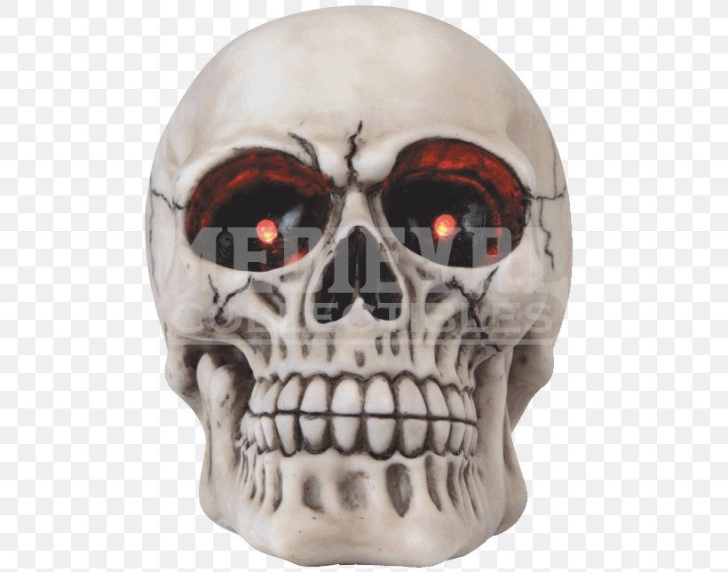 Skull Human Skeleton Jaw Head, PNG, 644x644px, Skull, Bone, Figurine, Head, Human Skeleton Download Free