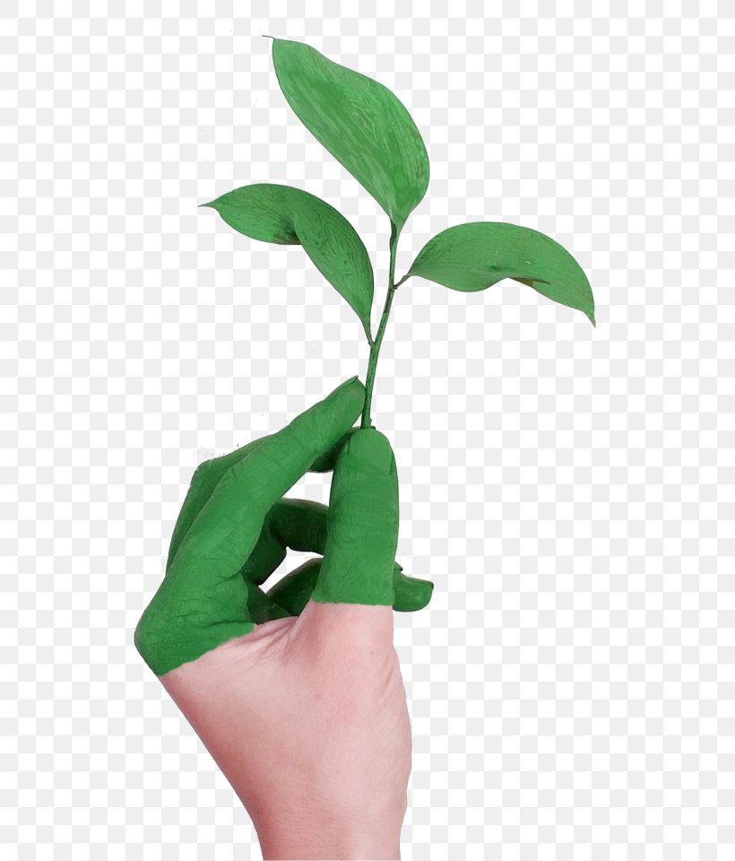 Sustainability Product Natural Environment Business Environmentally Friendly, PNG, 544x960px, Sustainability, Business, Environmentally Friendly, Finger, Flowerpot Download Free