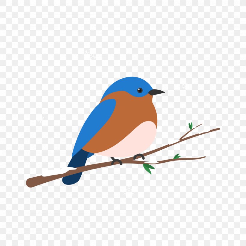 Bird Vector Graphics Illustration, PNG, 2000x2000px, Bird, Beak, Blue, Bluebird, Color Download Free