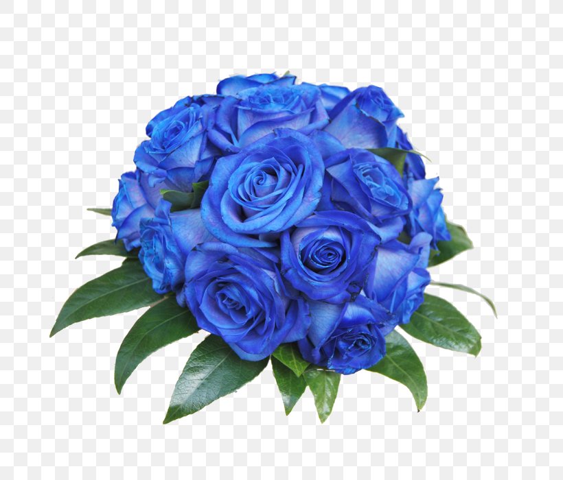 Blue Rose Garden Roses Centifolia Roses Cut Flowers, PNG, 700x700px, Blue Rose, Birthday, Blue, Blue Flower, Centifolia Roses Download Free