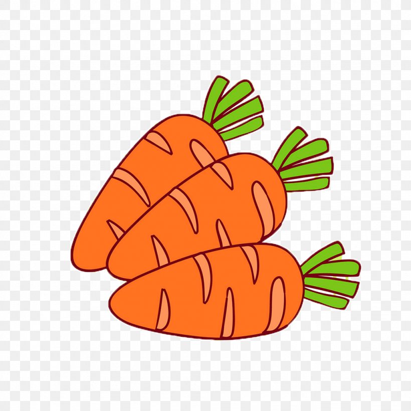Carrot Illustration, PNG, 1024x1024px, Carrot, Cartoon, Food, Fruit, Hand  Download Free