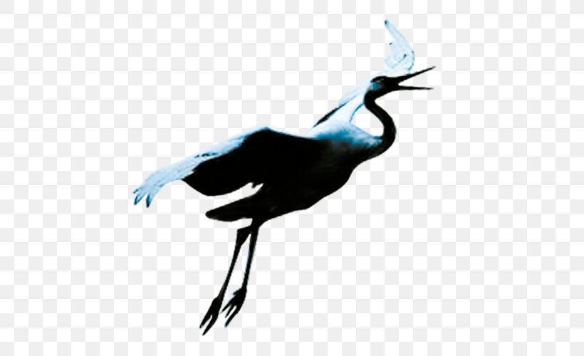 Crane Bird Flight, PNG, 500x500px, Crane, Art, Beak, Bird, Crane Like Bird Download Free