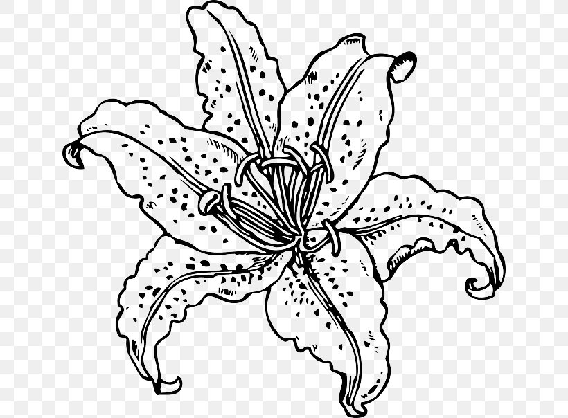 Easter Lily Tiger Lily Lilium Candidum Clip Art, PNG, 640x604px, Easter Lily, Artwork, Black And White, Butterfly, Cut Flowers Download Free