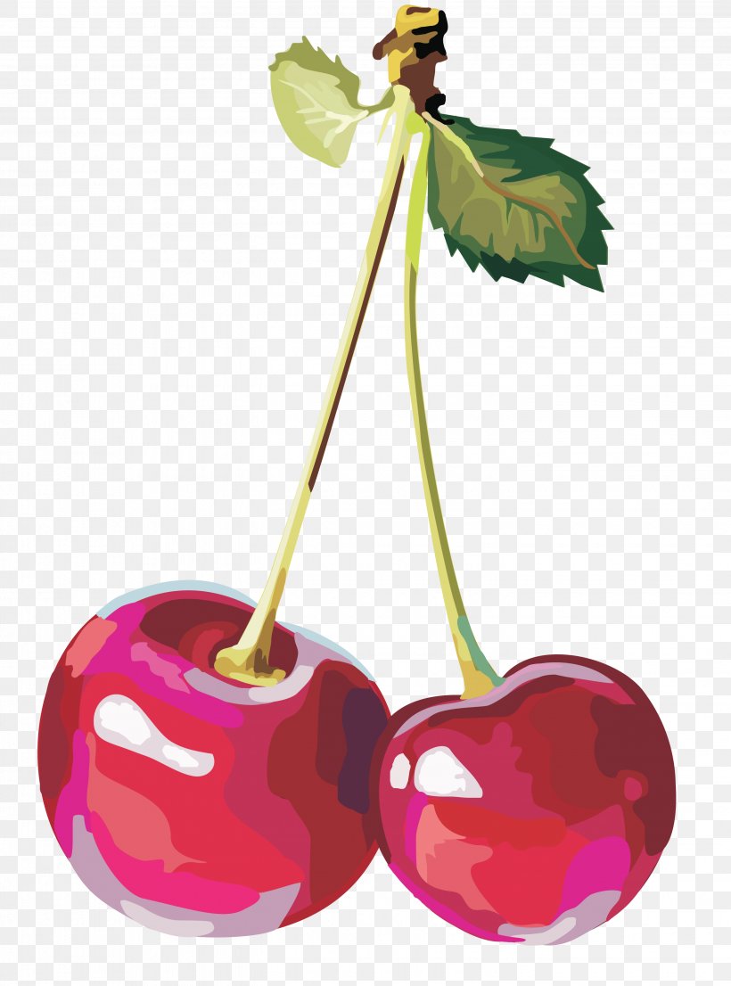 Sweet Cherry Clip Art, PNG, 2855x3851px, Cherry, Apple, Flowering Plant, Food, Fruit Download Free