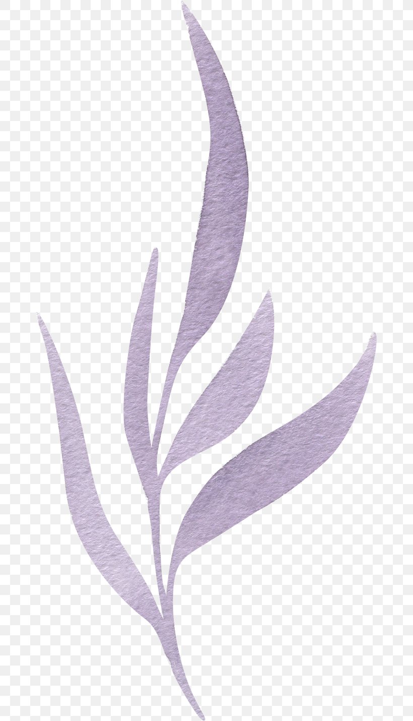 Watercolor Painting, PNG, 679x1430px, Watercolor Painting, Feather, Leaf, Lilac, Painting Download Free