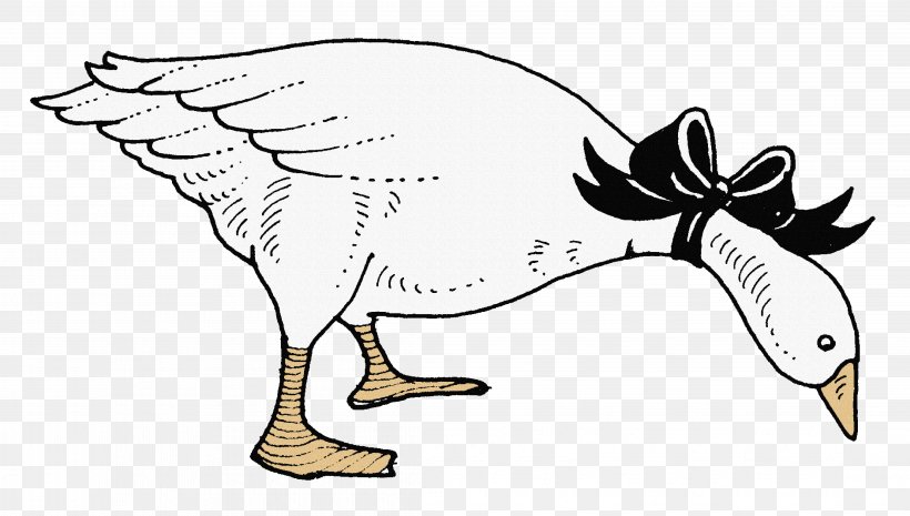 Domestic Goose Cygnini Duck White, PNG, 4433x2517px, Domestic Goose, Art, Artwork, Beak, Bird Download Free
