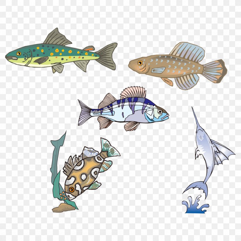 Fish, PNG, 1000x1000px, Fish, Fauna, Organism, Seafood Download Free