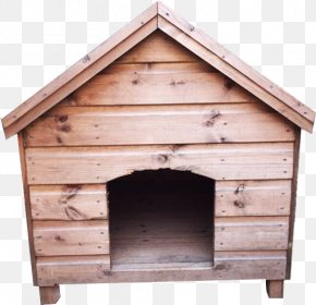 Cat - Kennel German Shepherd Dog Houses Sussex Spaniel Cat PNG