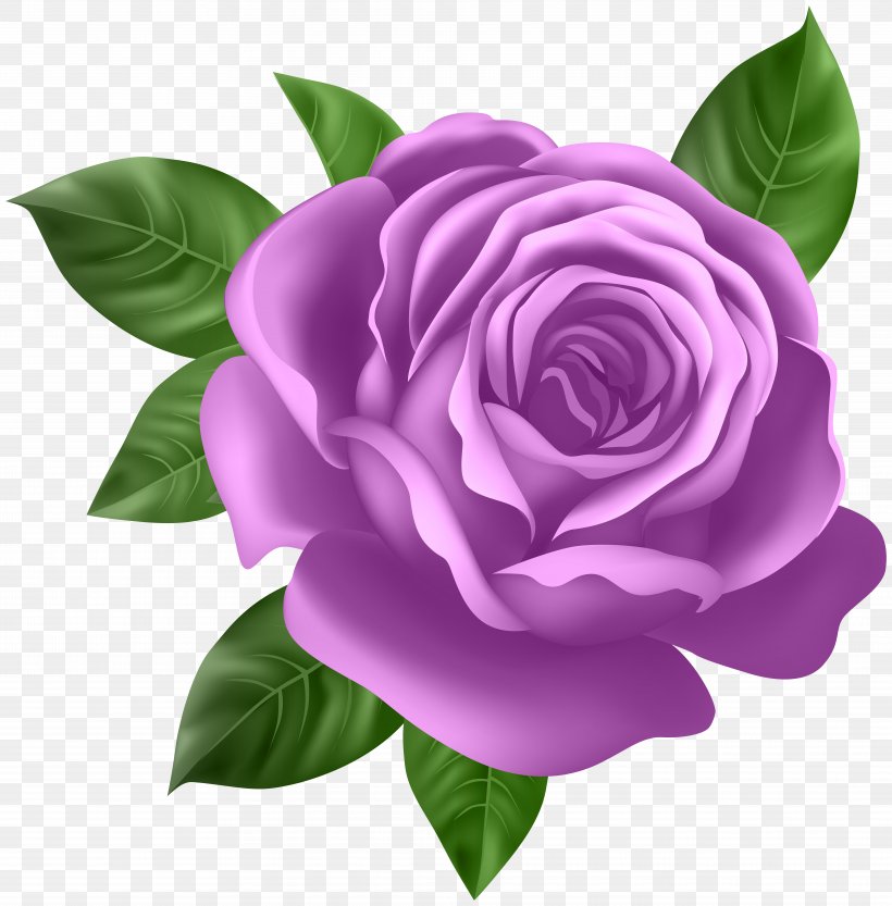 Rose Purple Clip Art, PNG, 7873x8000px, Rose, Camellia, Cut Flowers, Facebook, Floral Design Download Free