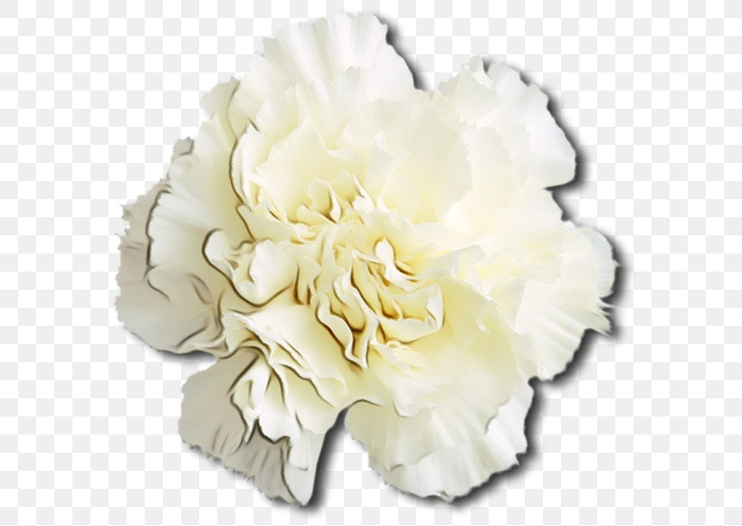 Artificial Flower, PNG, 600x581px, Watercolor, Artificial Flower, Beige, Carnation, Chinese Peony Download Free