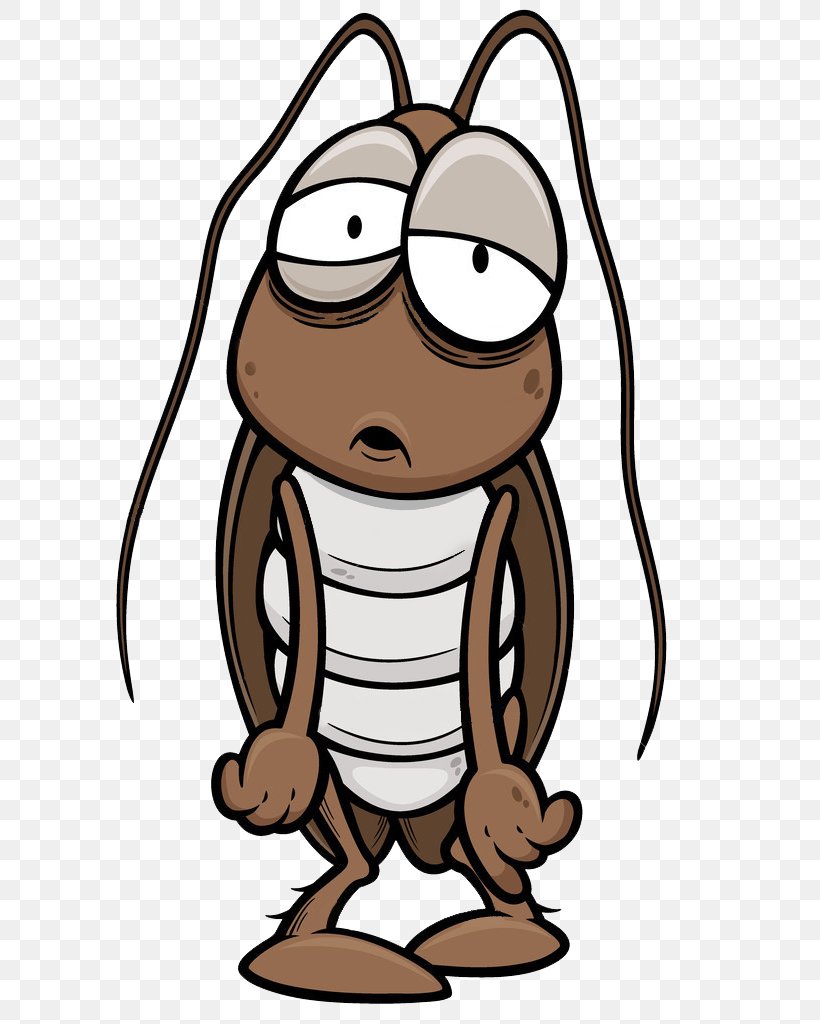 Cockroach Cartoon Insect Illustration, PNG, 768x1024px, Cockroach, Antenna, Cartoon, Drawing, Eyewear Download Free