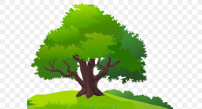 Tree Clip Art, PNG, 600x445px, Tree, Biome, Branch, Forest, Grass Download Free