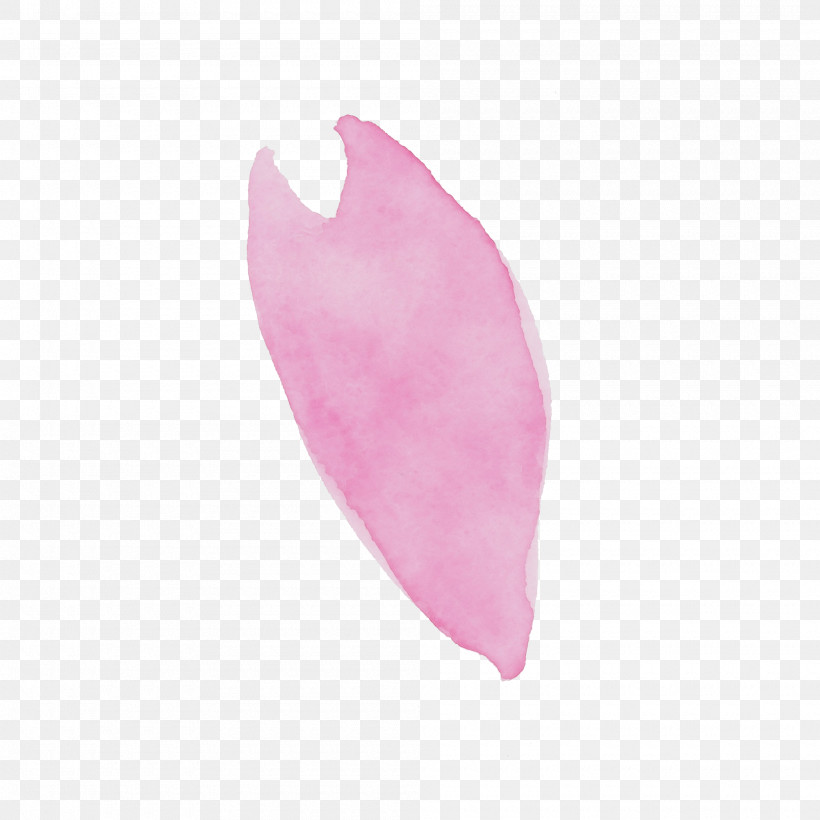 Feather, PNG, 2000x2000px, Watercolor Flower, Feather, Flower, Leaf, Paint Download Free