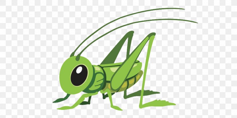 Grasshopper Illustration Clip Art Image Cartoon, PNG, 960x481px, Grasshopper,  Animal Figure, Animated Cartoon, Animation, Arthropod Download
