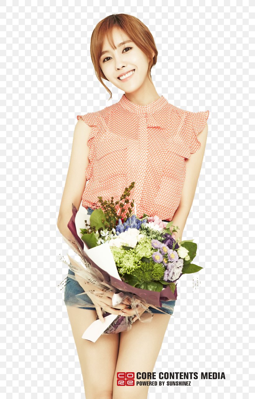 Hyomin T-ara Model Art K-pop, PNG, 720x1280px, Watercolor, Cartoon, Flower, Frame, Heart Download Free
