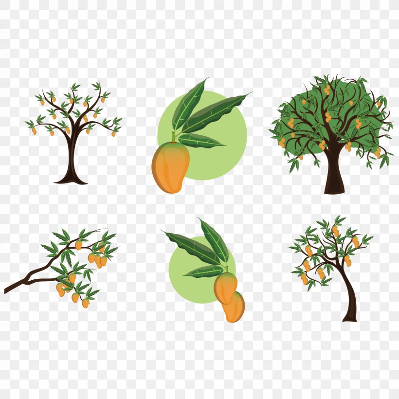 Mangifera Indica Mango Tree Clip Art, PNG, 1667x1667px, Mangifera Indica, Branch, Drawing, Flora, Flower Download Free