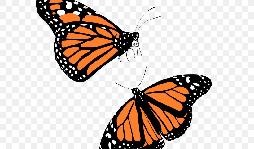 The Monarch Butterfly Clip Art, PNG, 640x480px, Butterfly, Arthropod, Brush Footed Butterfly, Insect, Invertebrate Download Free