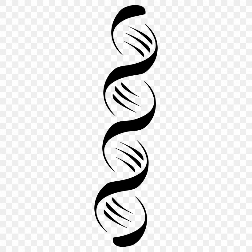 DNA Nucleic Acid Double Helix Clip Art, PNG, 2400x2400px, Dna, Black And White, Body Jewelry, Cellfree Fetal Dna, Dna Polymerase Download Free