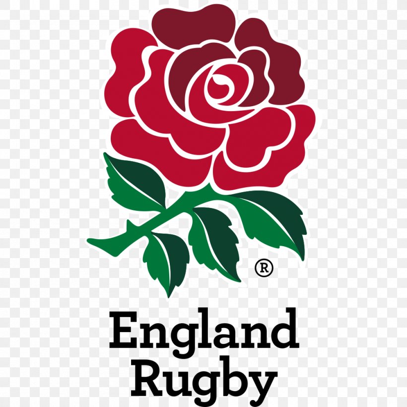 England National Rugby Union Team Six Nations Championship Irish Rugby Scotland National Rugby Union Team, PNG, 1000x1000px, England, Area, Artwork, Cut Flowers, England National Rugby Union Team Download Free