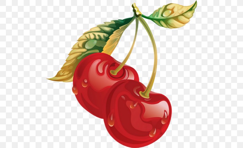 Fruit Soup Cherry Crisp Food, PNG, 510x500px, Fruit Soup, Cherry, Cherry Pitter, Crisp, Drawing Download Free